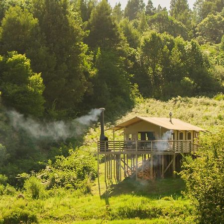 Africamps Magoebaskloof Villa Eksteriør billede