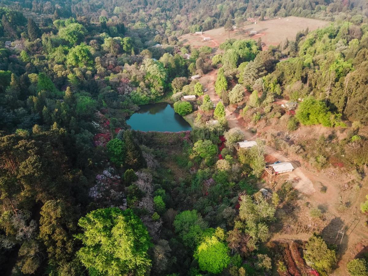 Africamps Magoebaskloof Villa Eksteriør billede