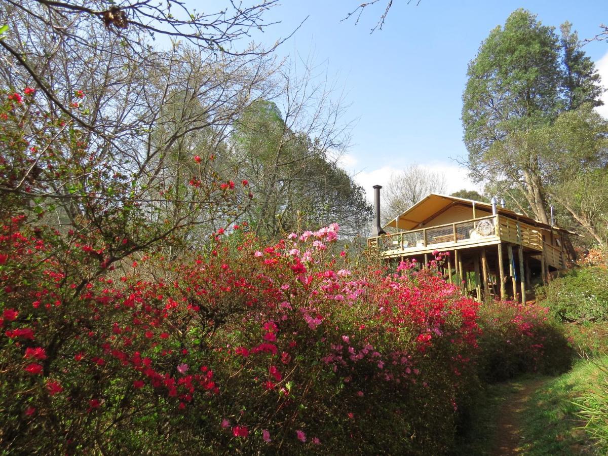 Africamps Magoebaskloof Villa Eksteriør billede