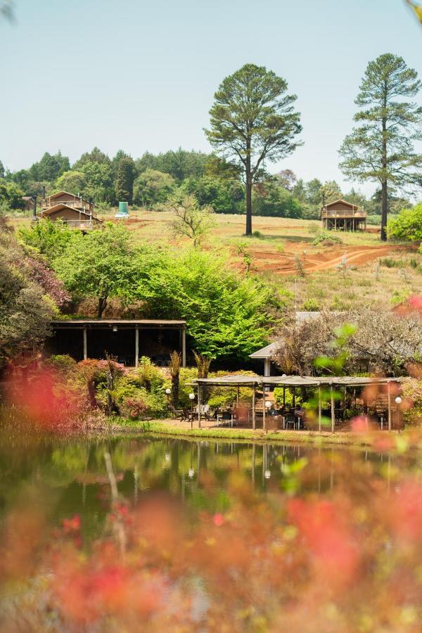 Africamps Magoebaskloof Villa Eksteriør billede