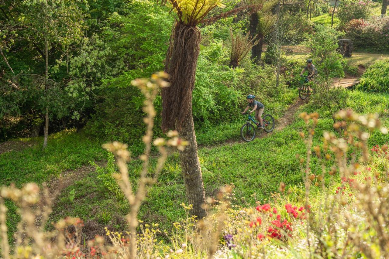 Africamps Magoebaskloof Villa Eksteriør billede