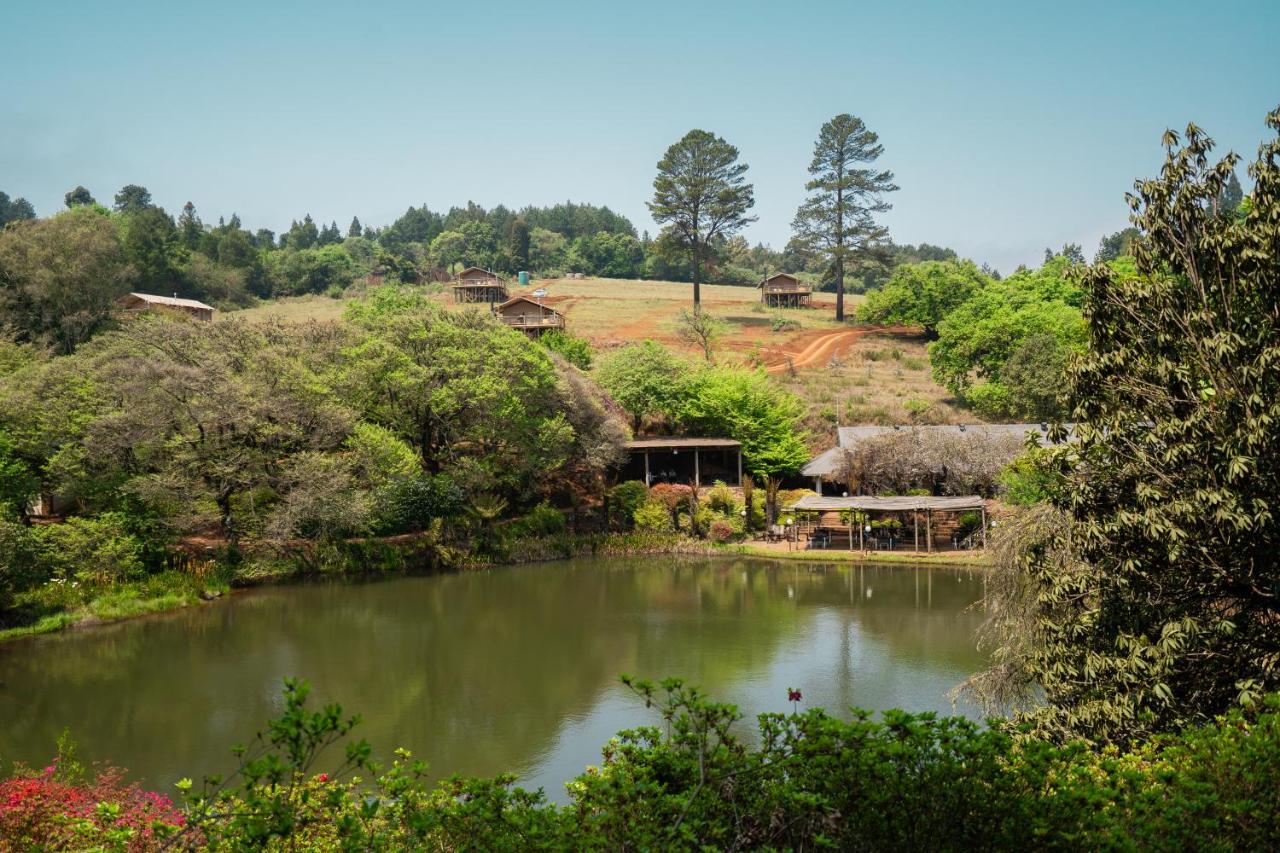 Africamps Magoebaskloof Villa Eksteriør billede